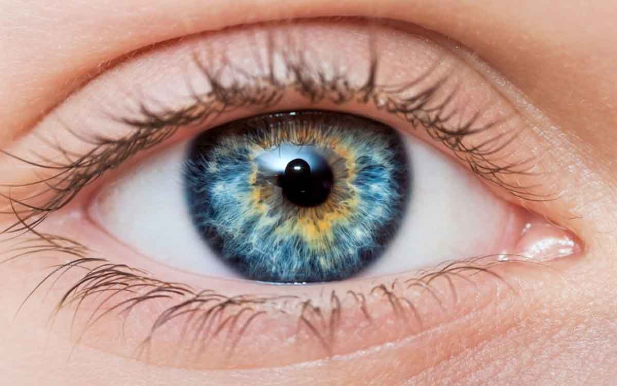 Eyes Health | కళ్లు ఆరోగ్యంగా ఉండి కంటి చూపు మెరుగుపడాలంటే వేటిని తినకూడదు.. వేటిని తినాల్సి ఉంటుంది..?