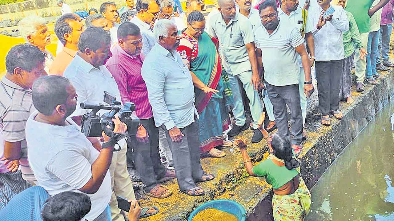 దేవుడా.. ఏం చేసి బతకాలి?