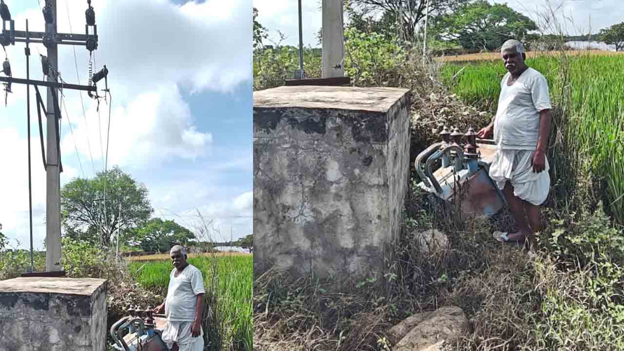 Farmers | వ‌ర్షాల‌తో కుళ్లిపోయిన పంట‌లు.. ఆదుకోవాలంటూ రైతుల విజ్ఞ‌ప్తి