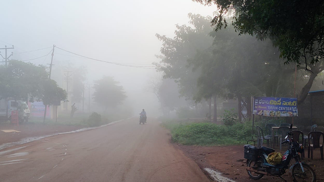 Fog 1