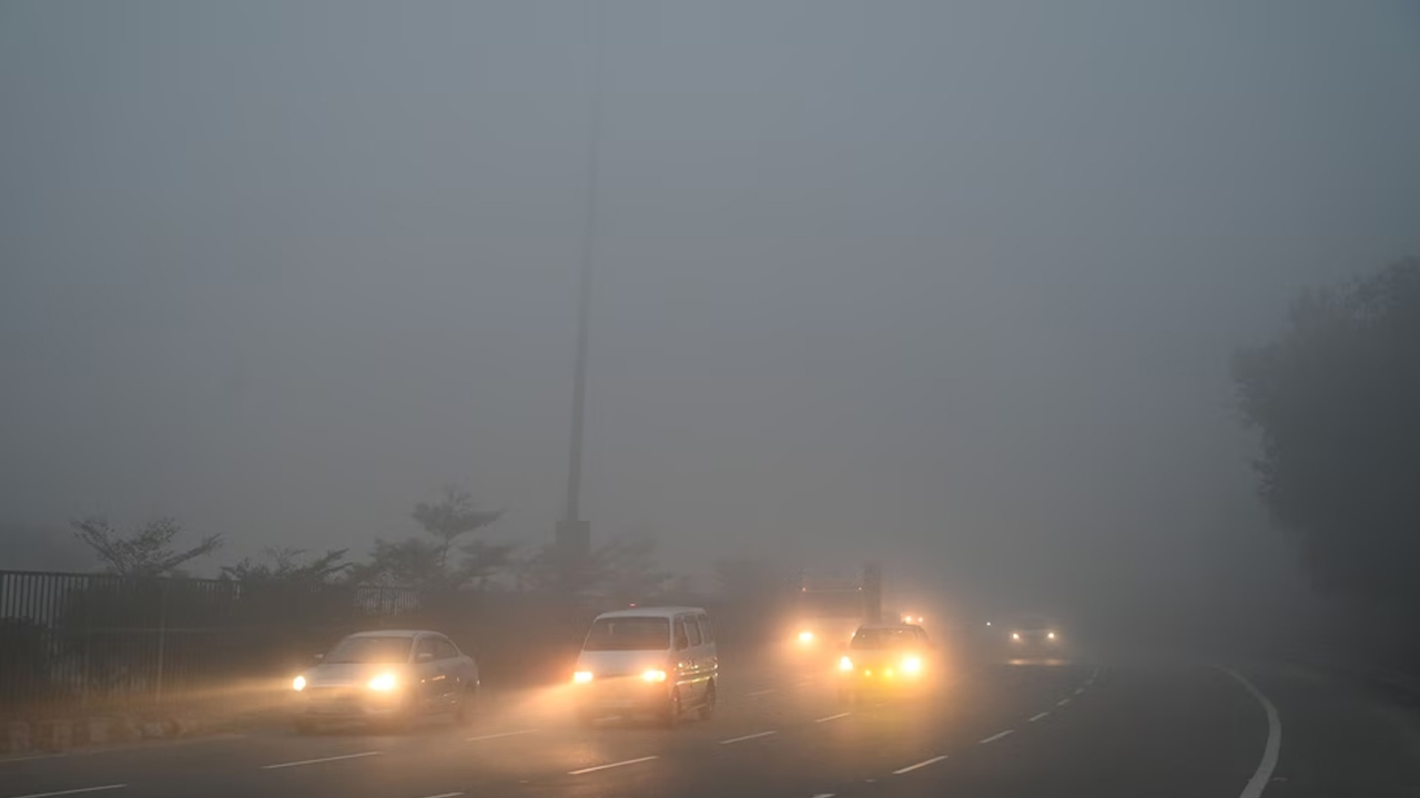 Fog 2