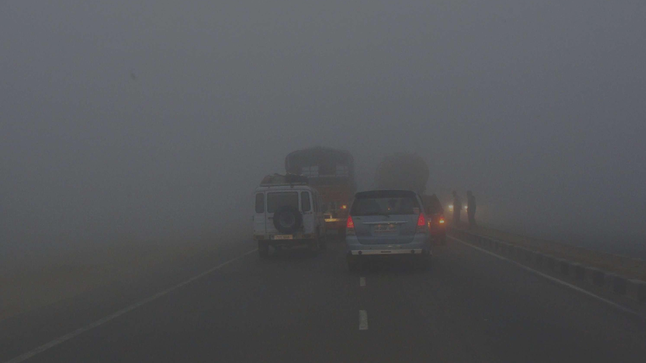 Fog 3