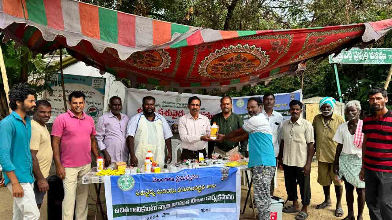 Chilipiched | పశువులకు గాలి కుంటు వ్యాధి నివారణ టీకాలు తప్పనిసరి : డాక్టర్ వెంకటయ్య