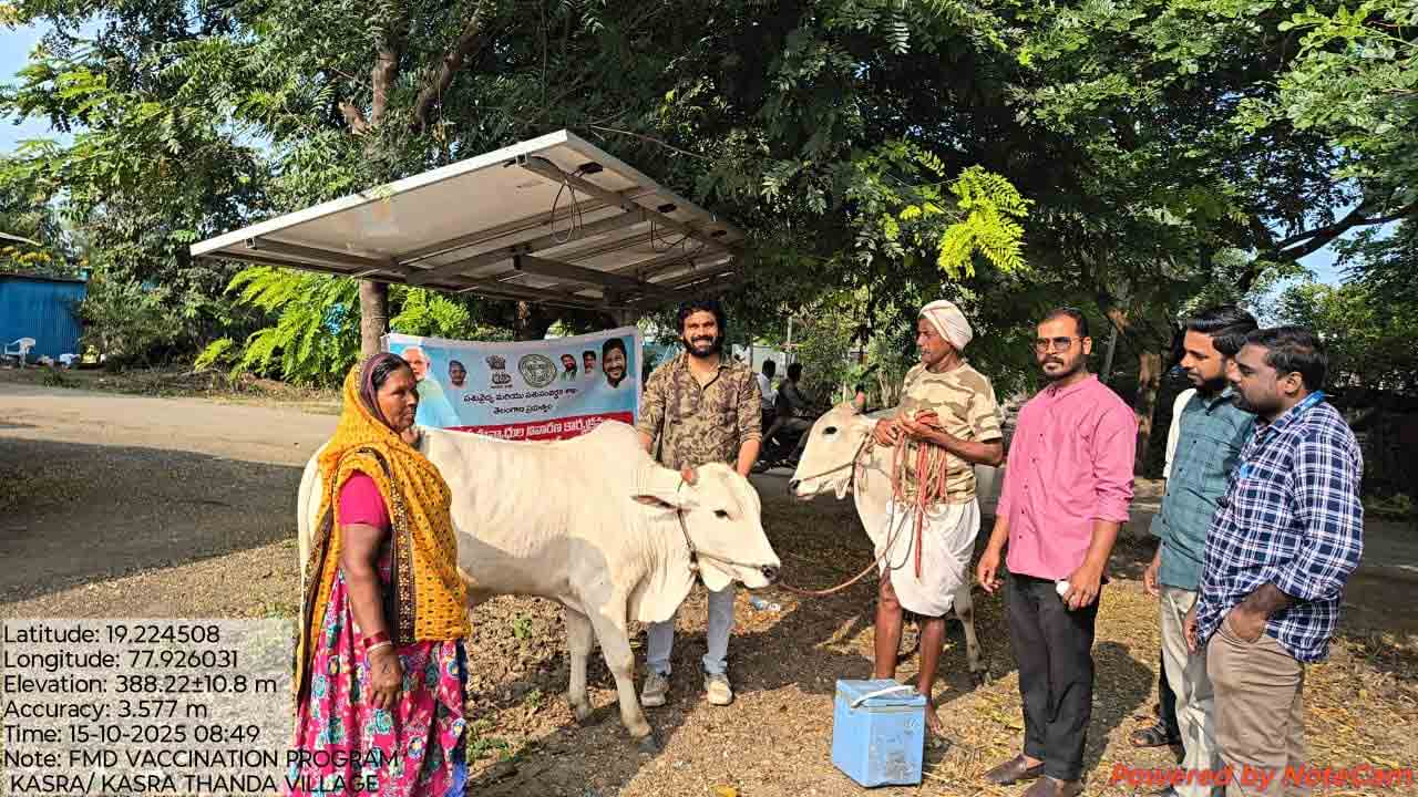 Galikuntu | గాలికుంటు వ్యాధి నివారణ కోసం టీకాలు ఇస్తాం : పశువైద్య అధికారి డాక్టర్ విశ్వజిత్ పటేల్