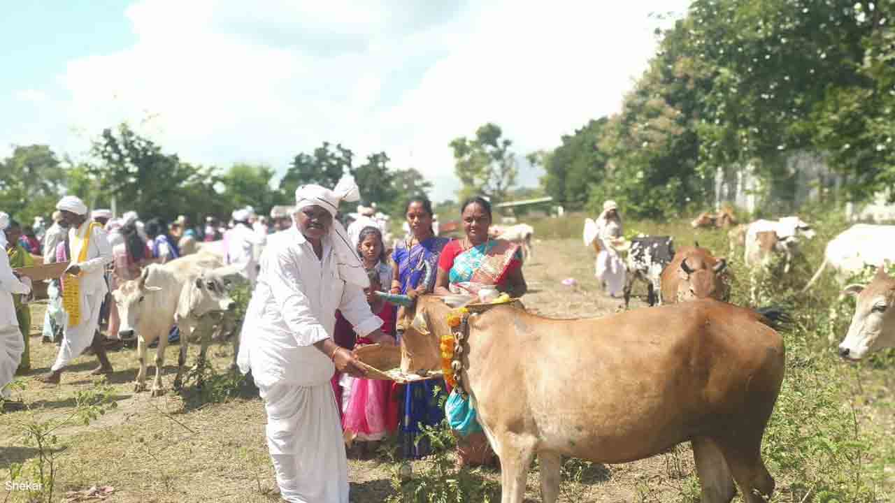 Narnoor | గోవర్ధన్ గుట్టపై గోమాతకు పూజలు