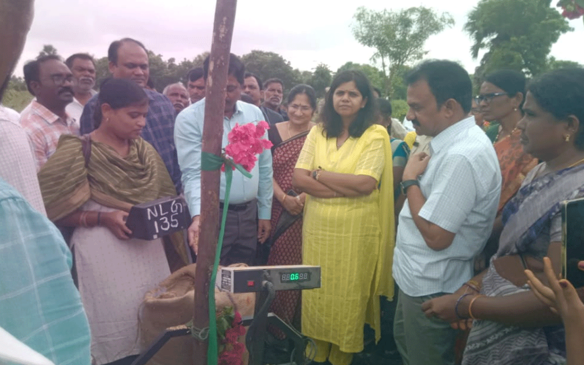 Nalgonda City : రైతులు నాణ్య‌తా ప్ర‌మాణాలు పాటిస్తూ ధాన్యాన్ని తేవాలి : క‌లెక్ట‌ర్ ఇలా త్రిపాఠి
