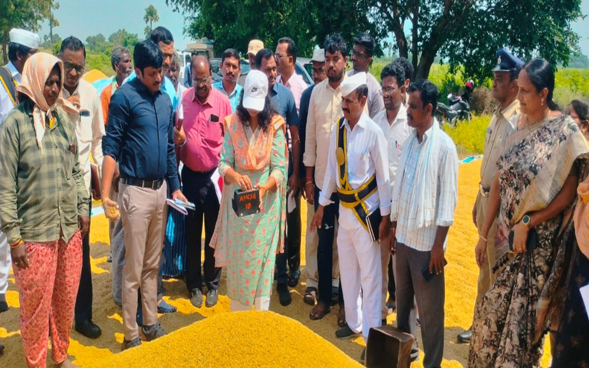 Shaligouraram : రైతులు ధాన్యాన్ని శుభ్రం చేసి తీసుకురావాలి : కలెక్టర్ ఇలా త్రిపాఠి
