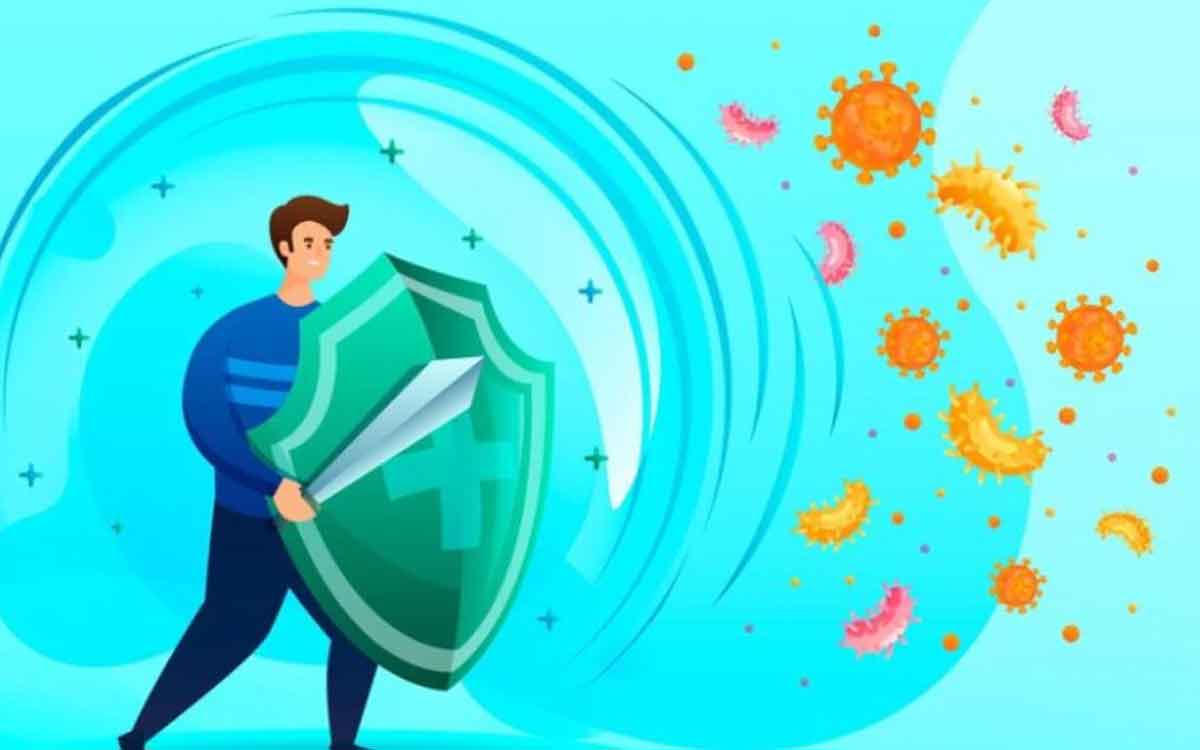 White Blood Cells | ఈ ఆహారాల‌ను తీసుకుంటే తెల్ల ర‌క్త క‌ణాల సంఖ్య‌ను గ‌ణ‌నీయంగా పెంచుకోవ‌చ్చు.. రోగాలు రాకుండా అడ్డుకోవ‌చ్చు..