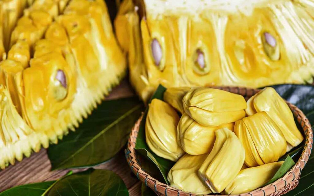 Jackfruit 1