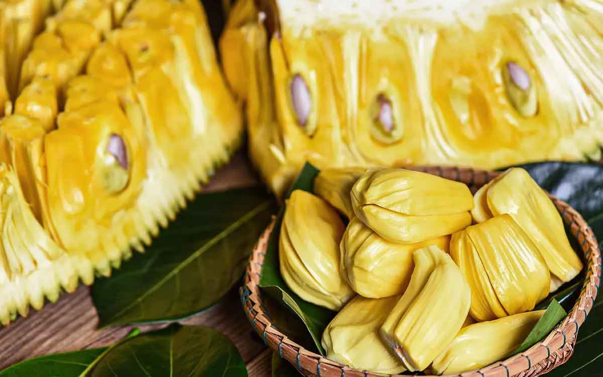 Jackfruit | డయాబెటిస్ ఉన్నవారు పనస పండ్లను తినవచ్చా..? అసలు ఈ పండ్లతో ఎలాంటి లాభాలు కలుగుతాయి..?