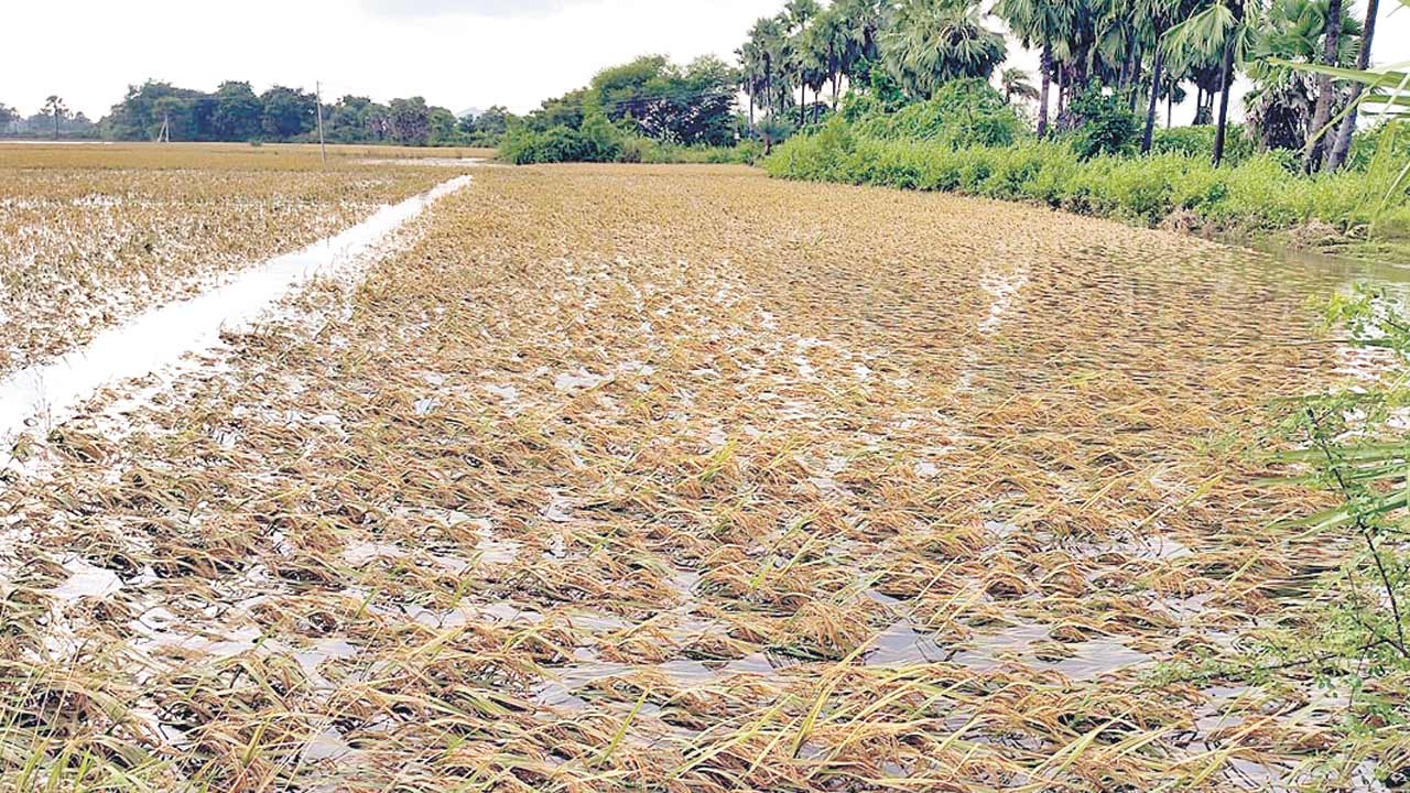 మొంథా బీభత్సం