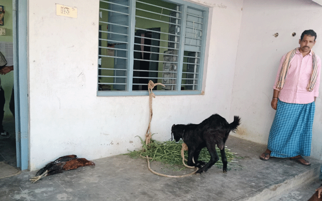 Karepally : వైద్యం వికటించి మూగజీవాలు మృత్యువాత ?