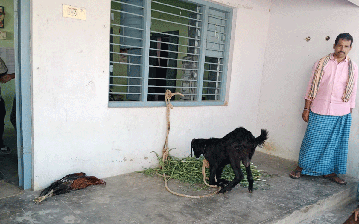 Karepally : వైద్యం వికటించి మూగజీవాలు మృత్యువాత ?