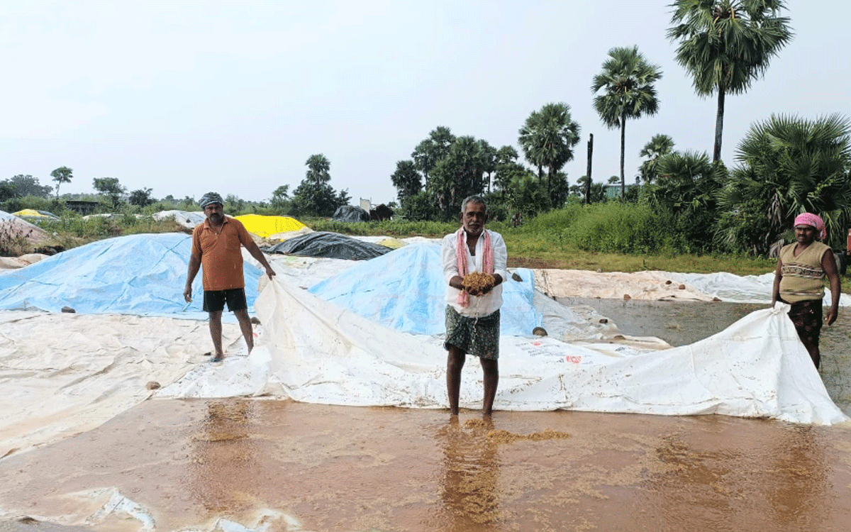 Kattangur : కొనుగోలు కేంద్రాల్లో తడిచిన ధాన్యం.. పట్టించుకోని అధికారులు