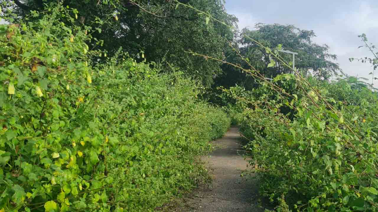 Warangal Fort | చారిత్రక ఓరుగల్లు కోటలో సమస్యల తిష్ట.. అల్లాడిపోతున్న పర్యాటకులు