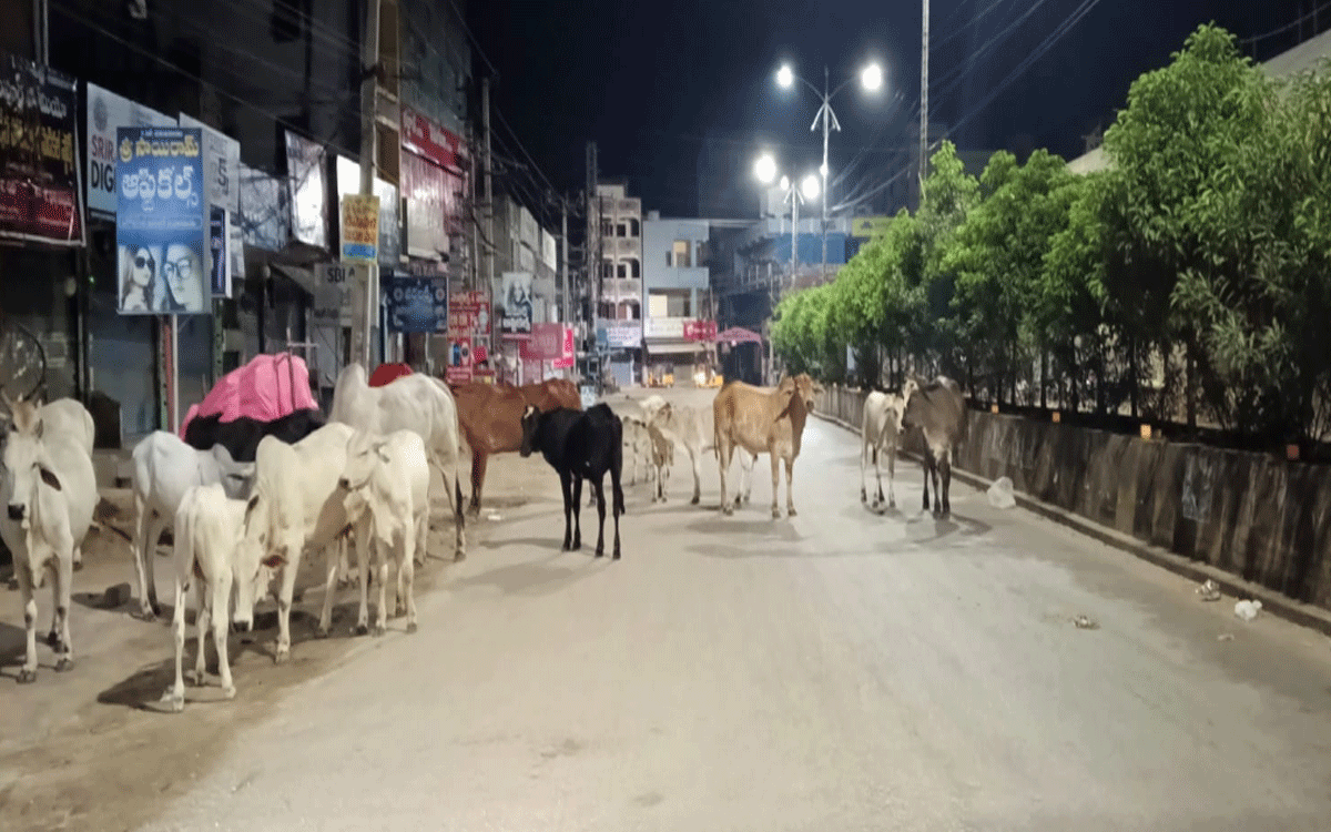 Kodada : కోదాడలో పారిశుధ్యం అస్తవ్యస్తం.. పర్యవేక్షణ పట్టని అధికారులు