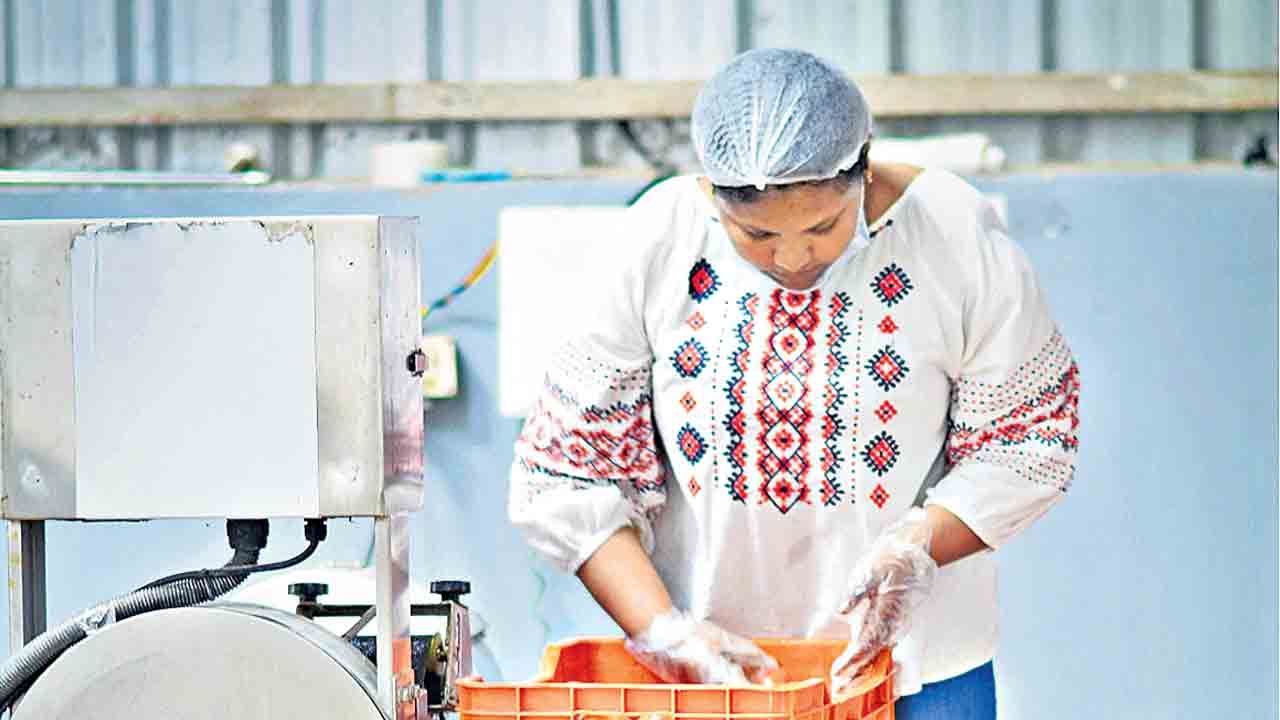 Koh Foods Keerthi Priya