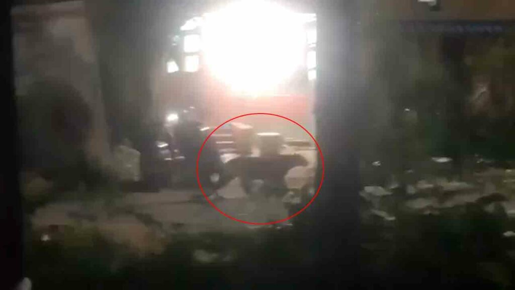 Leopard Svuniversity