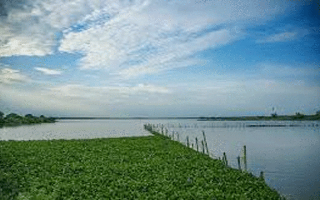 Karepally : మాదారం చెరువులో పురుగుల మందు కలిపిన దుండగులు