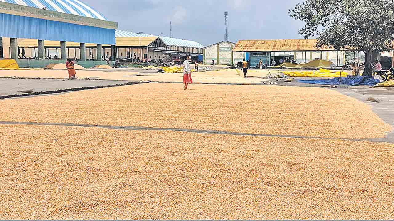 ధర దగా.. దళారీ పాగా