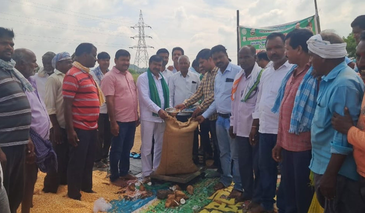 Maize purchasing center | చిగురుమామిడి లో మొక్కజొన్న కొనుగోలు కేంద్రం ప్రారంభం