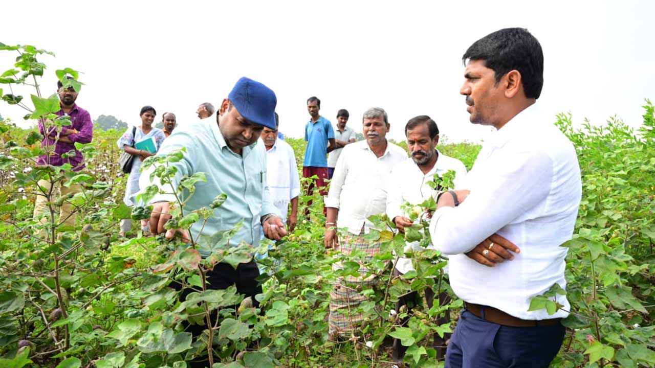 Medak | కొనుగోలు కేంద్రాలను సద్వినియోగం చేసుకోవాలి.. పత్తి రైతులకు మెదక్‌ కలెక్టర్‌ సూచన