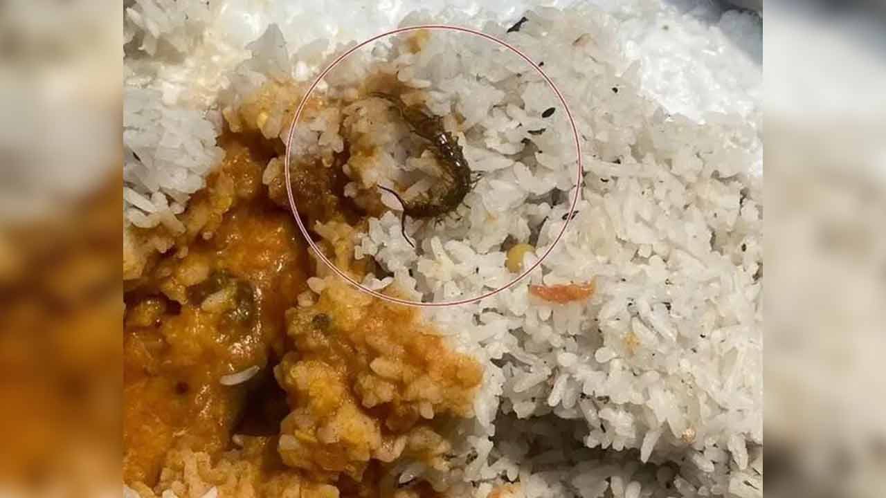 Mid Day Meals | మధ్యాహ్న భోజనంలో ‘జెర్రి’ ప్రత్యక్షం.. ఆందోళనలో విద్యార్థులు