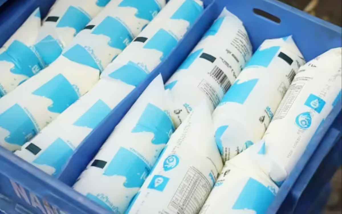 Milk Varieties | ఫుల్ క్రీమ్ మిల్క్‌, టోన్డ్ మిల్క్‌, డ‌బుల్ టోన్డ్ మిల్క్‌, స్కిమ్డ్ మిల్క్‌.. అస‌లు వీటి మ‌ధ్య తేడా ఏమిటి..?