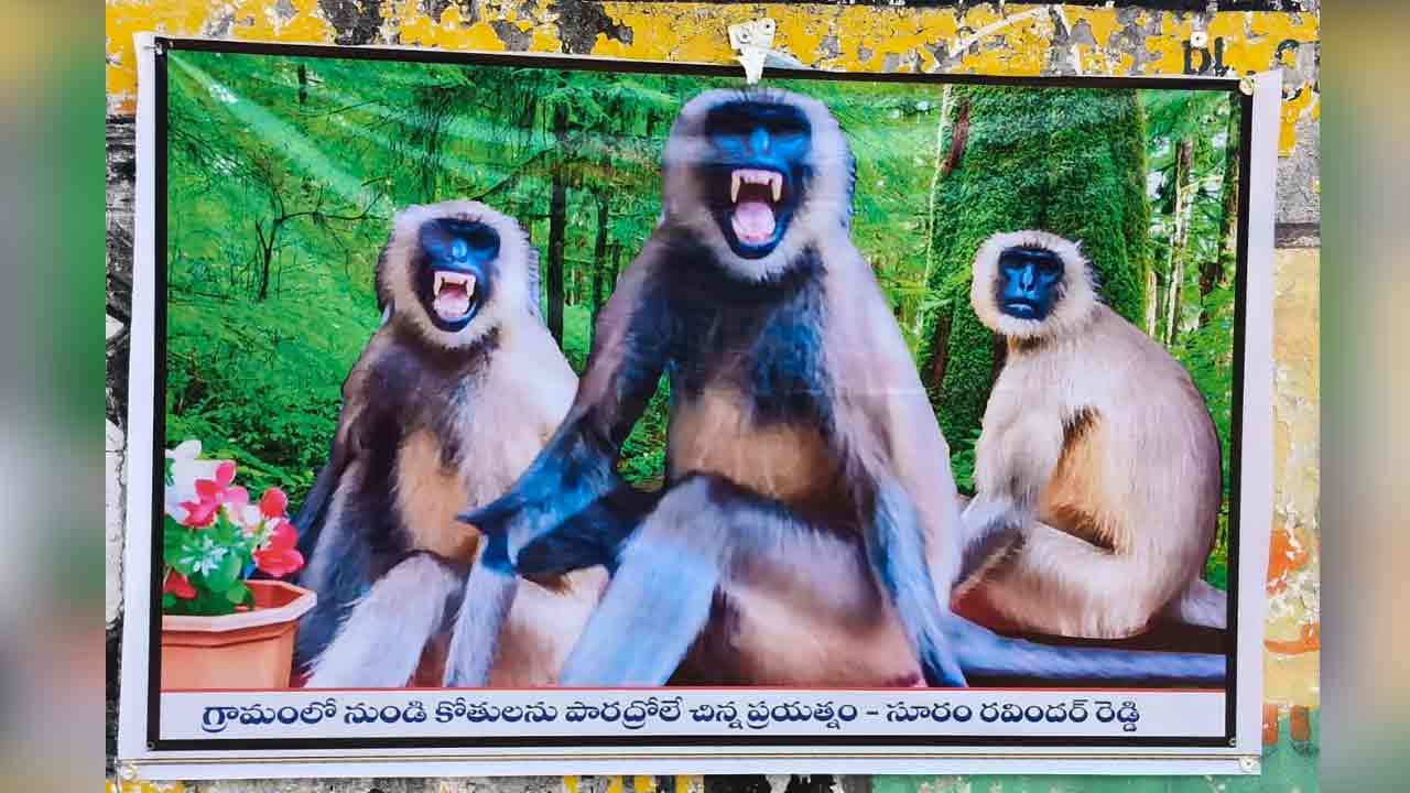 కోతుల నియంత్ర‌ణ కోసం.. కొండెంగల ఫ్లెక్సీలు