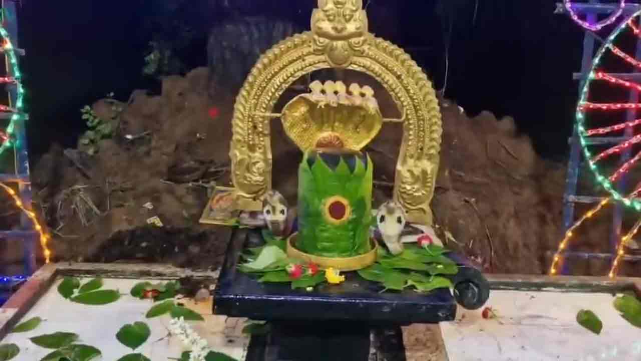 Nagula Chavithi | నాగుల చవితి రోజు అద్భుత దృశ్యం.. శివలింగంపై రెండు నాగుపాములు ప్రత్యక్షం..