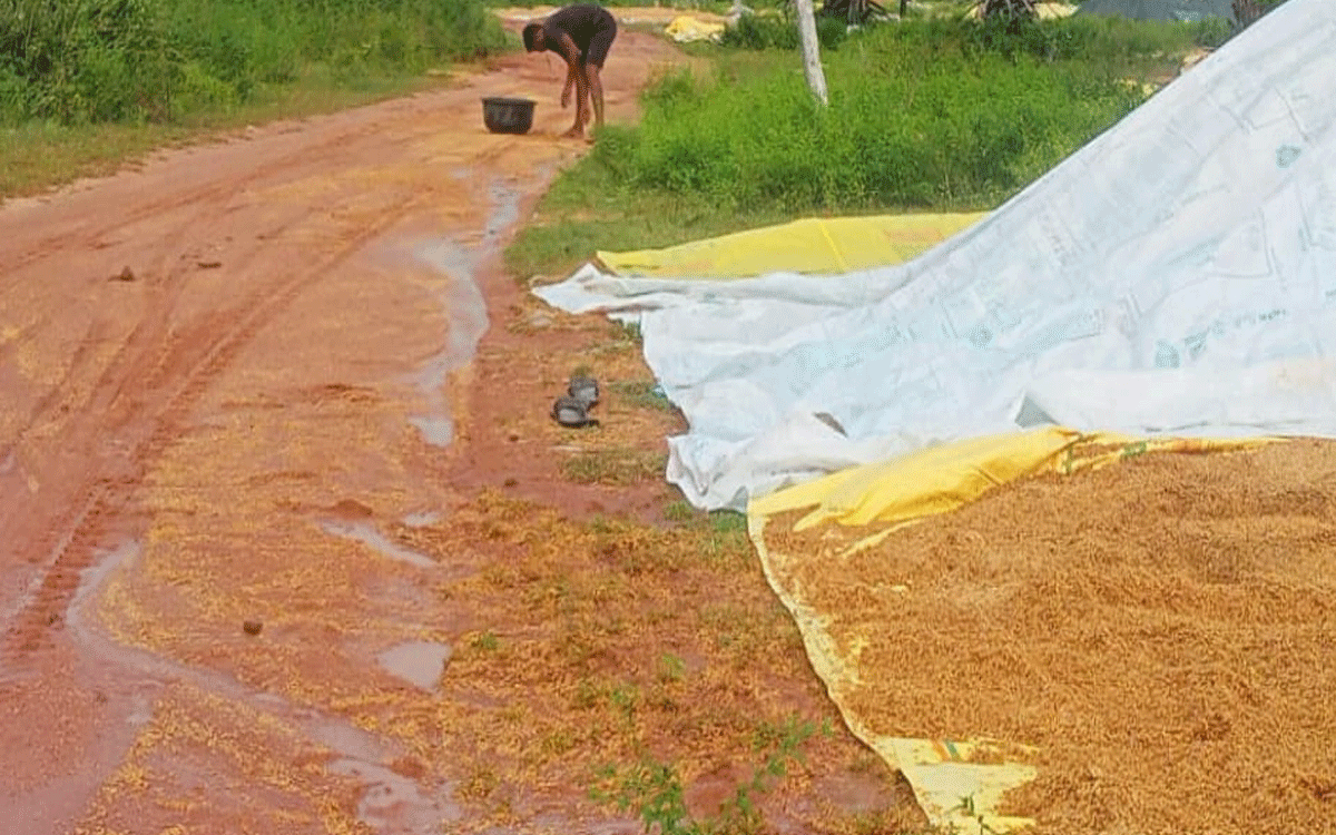 Nakrekal : తడుస్తున్న ధాన్యం.. పట్టించుకోని యంత్రాంగం