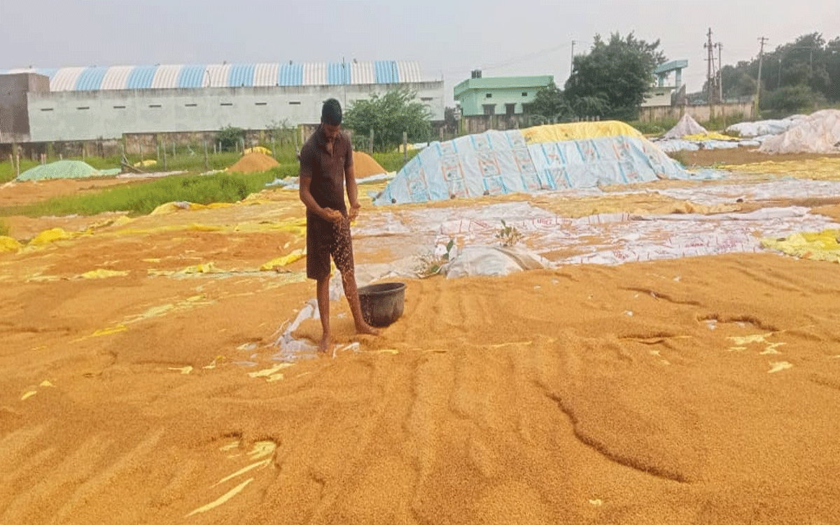 Nakrekal : తడుస్తున్న ధాన్యం... పట్టించుకోని యంత్రాంగం