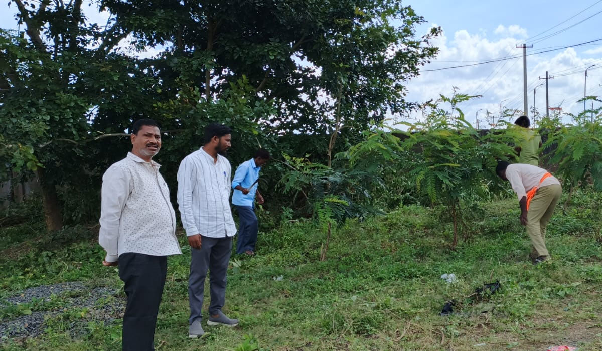 Narnur | నార్నూరు ఉప మార్కెట్ యార్డ్ లో పిచ్చి మొక్కలు తొలగింపు