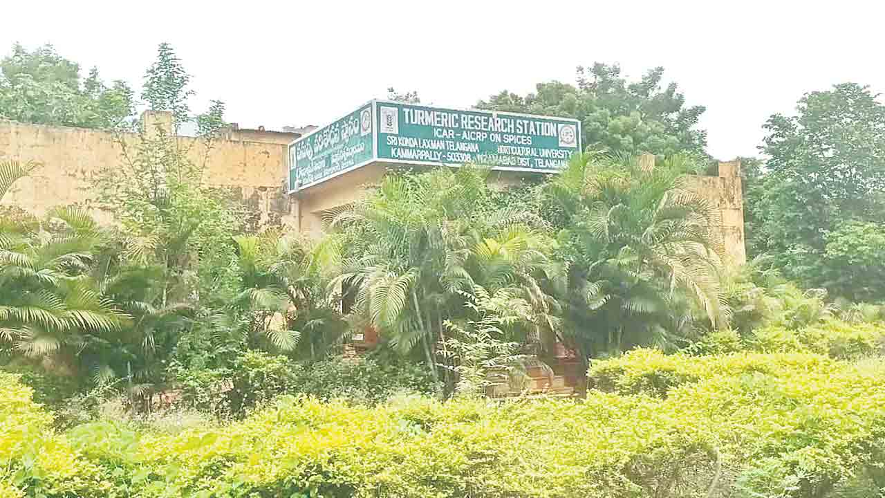 పరిశోధన.. అవగాహన