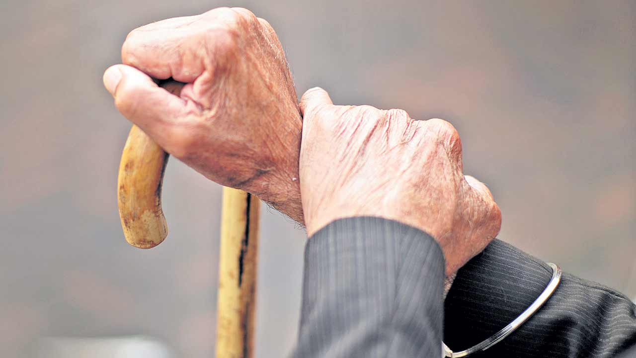 పండుటాకుల పడిగాపులు