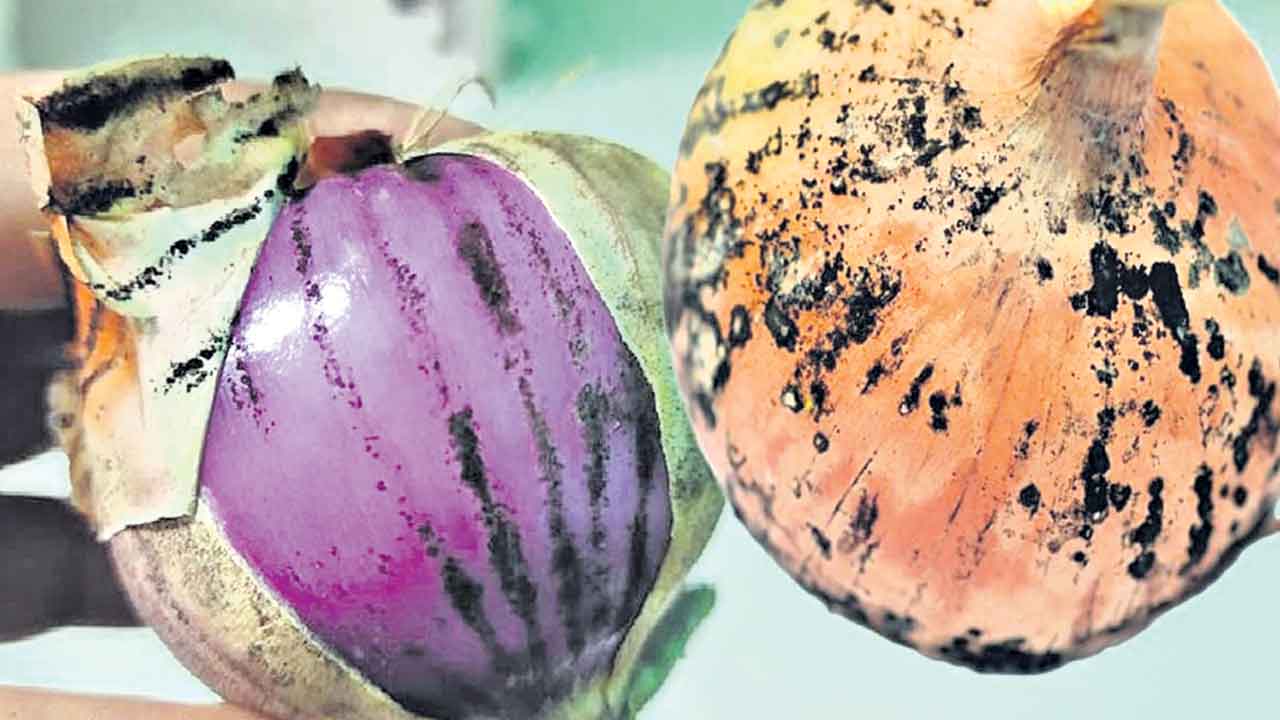 ఉల్లి మేలు చేయాలంటే..