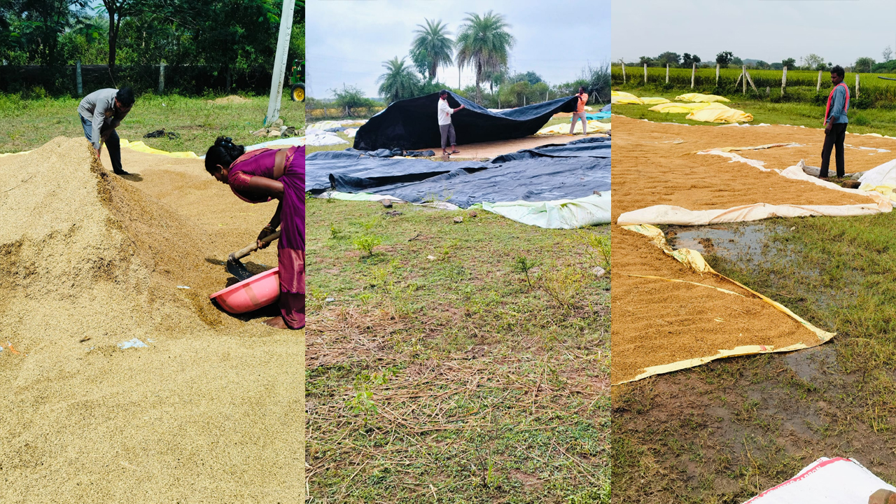 Paddy Procurement Center | అయ్యో రైతన్న ఎంత కష్టమొచ్చే.. కొనుగోలు కేంద్రాలను పట్టించుకోని అధికారులు, ప్రభుత్వం