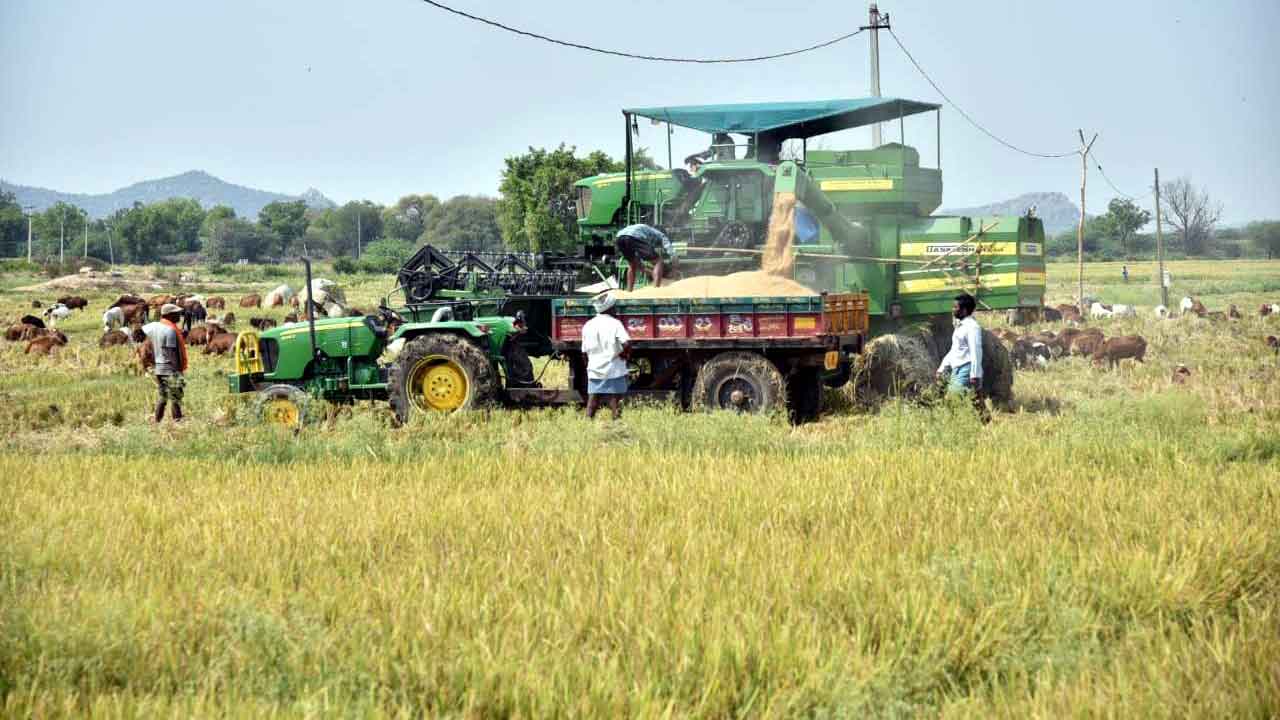 వరి కోతకు వేళాయే..