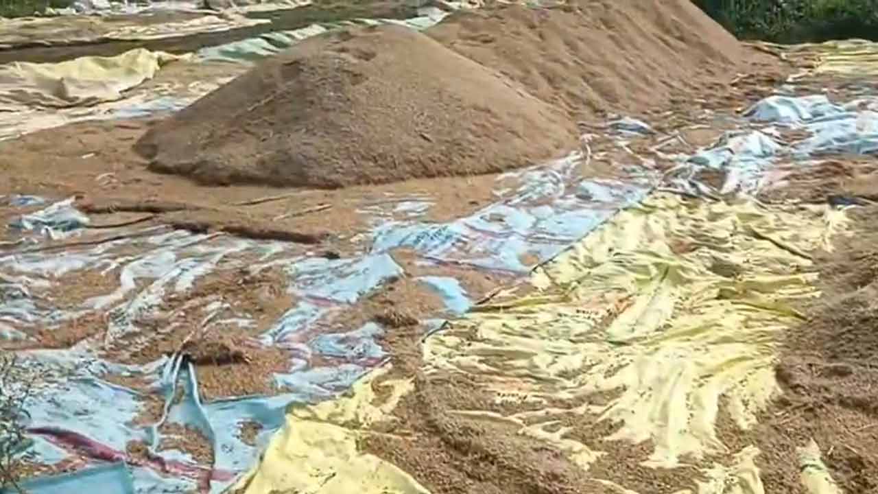 Nallagonda | అకాల వ‌ర్షం.. వ‌ర‌ద‌లో కొట్టుకుపోయిన వ‌రి ధాన్యం