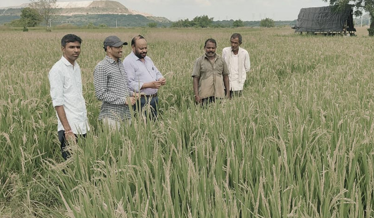 Field visit | జనగామలో వ్యవసాయ శాఖ డైరెక్టర్ క్షేత్ర పర్యటన.. రైతులతో కలిసి వరి పంటల పరిశీలన