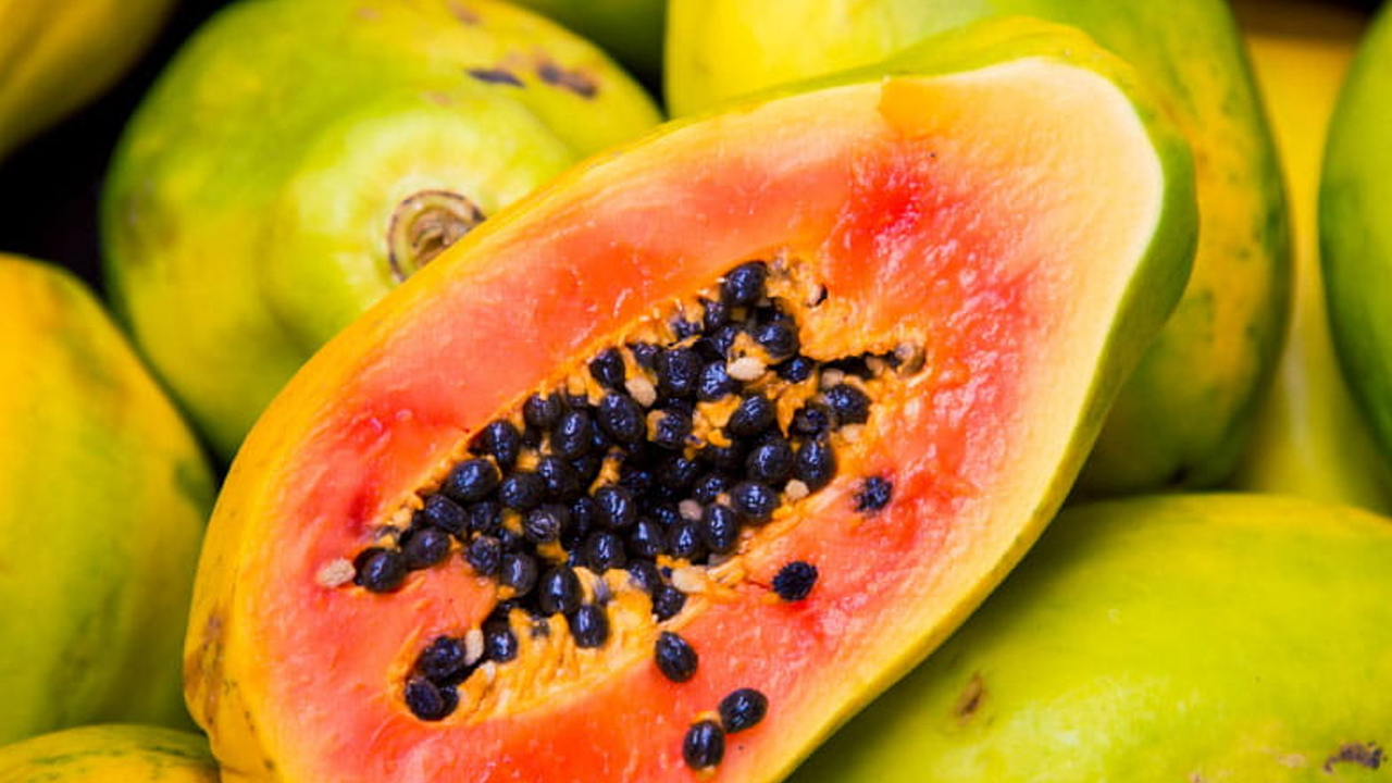 బొప్పాయి లాభాలు గొప్పోయి!