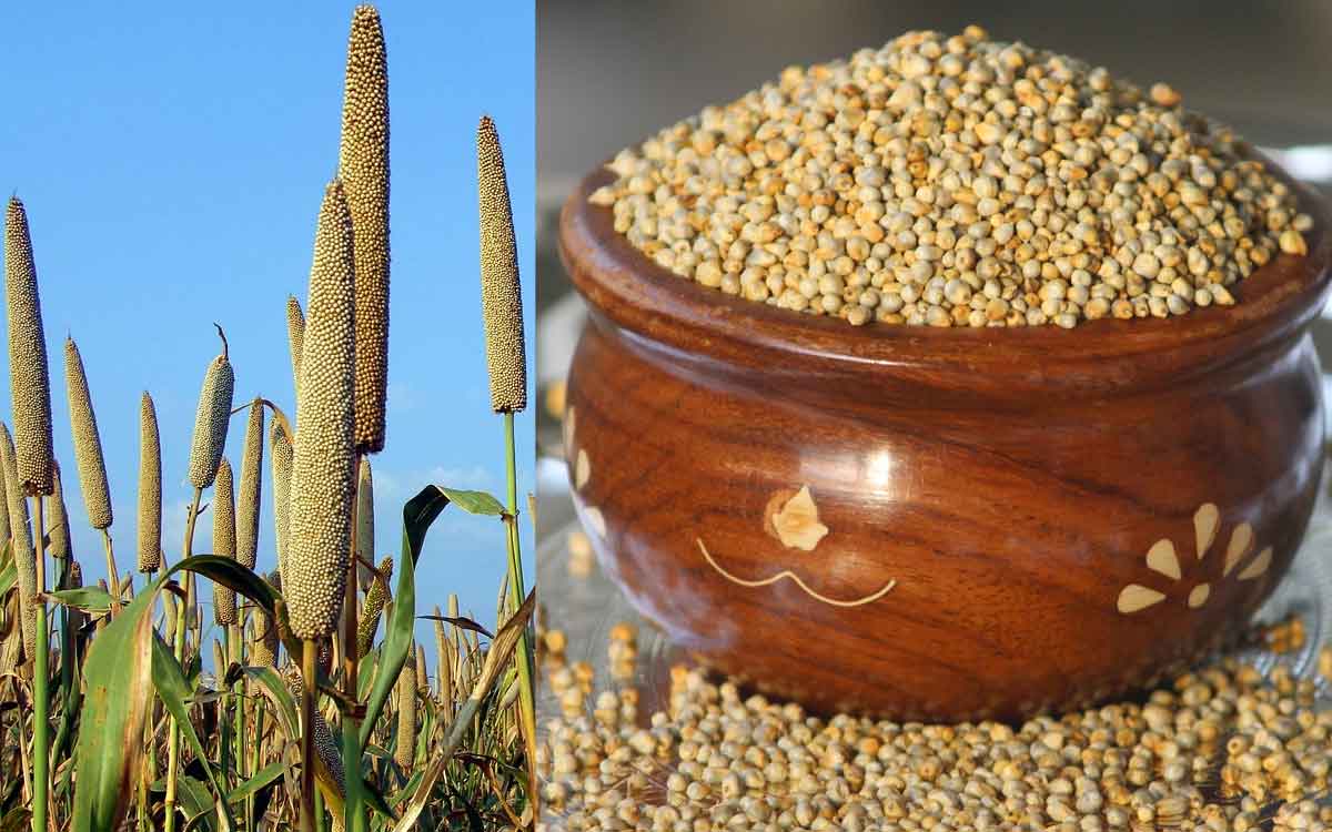 Pearl Millets | షుగ‌ర్‌, కొలెస్ట్రాల్‌, బీపీ ఉన్న‌వారు క‌చ్చితంగా రోజూ వీటిని తినాలి.. ఎంతో మేలు జ‌రుగుతుంది..!