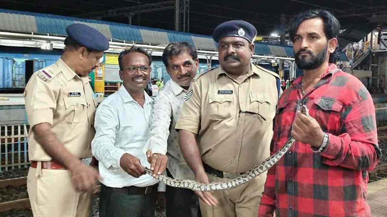 Python | రైలు వాష్‌రూమ్‌లో కొండ చిలువ‌.. ఆందోళ‌న‌కు గురైన ప్ర‌యాణికులు