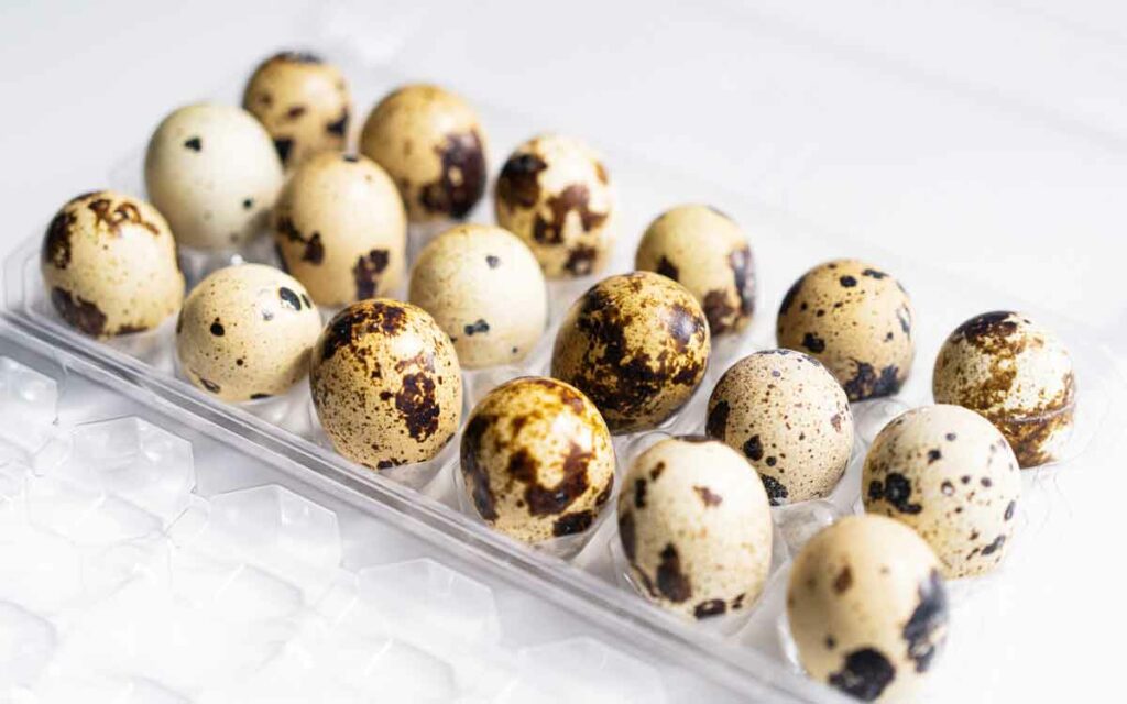 Quail Eggs