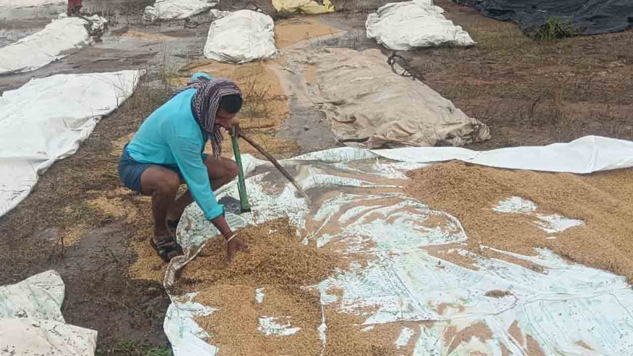 Bachannapet | బచ్చన్నపేట మండలంలో భారీ వర్షం.. తడిసి ముద్దయిన ధాన్యం