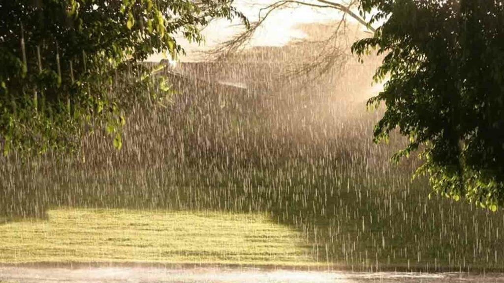 Rainsun