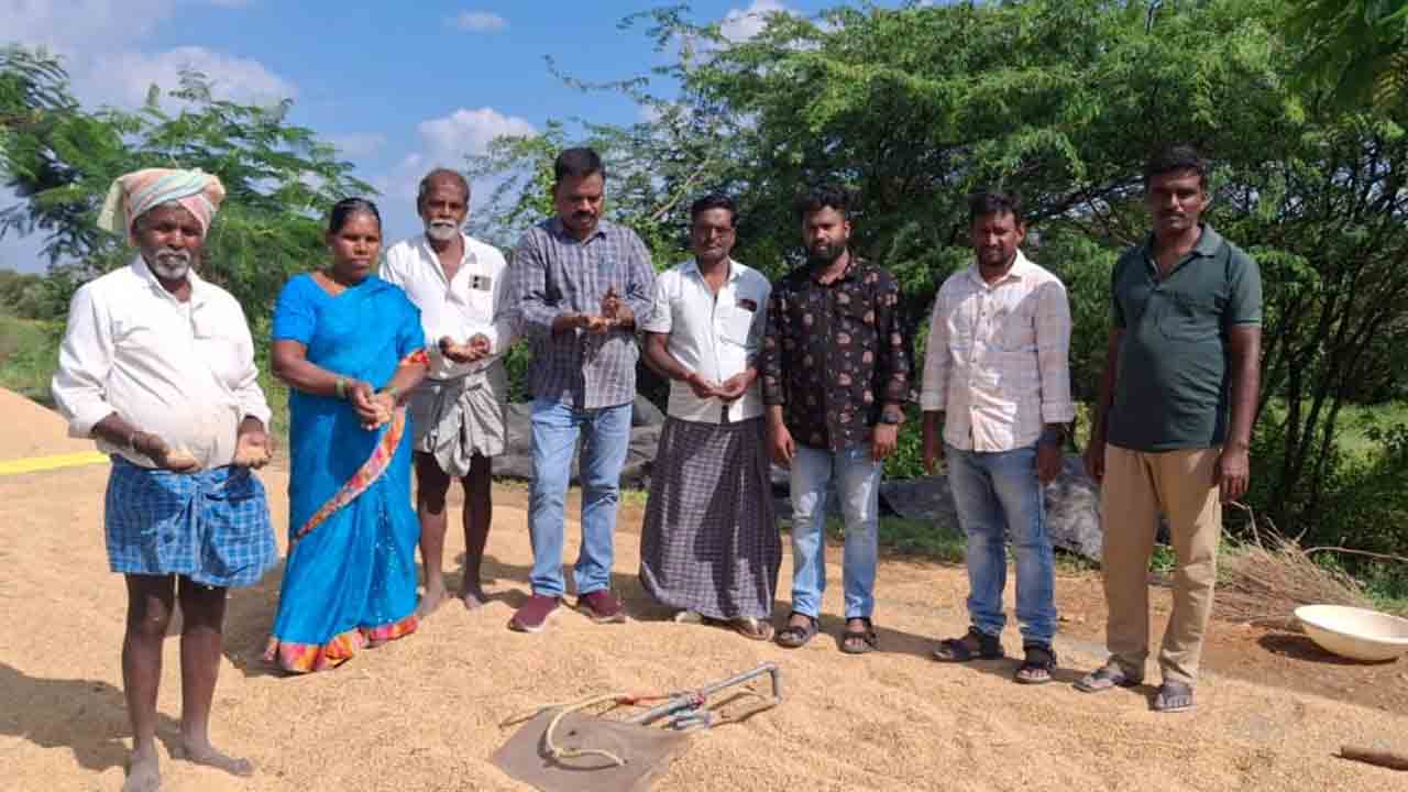 ADA Babu Nayak | తడిసిన ధాన్యాన్ని పరిశీలించిన ఏడీఏ బాబు నాయక్