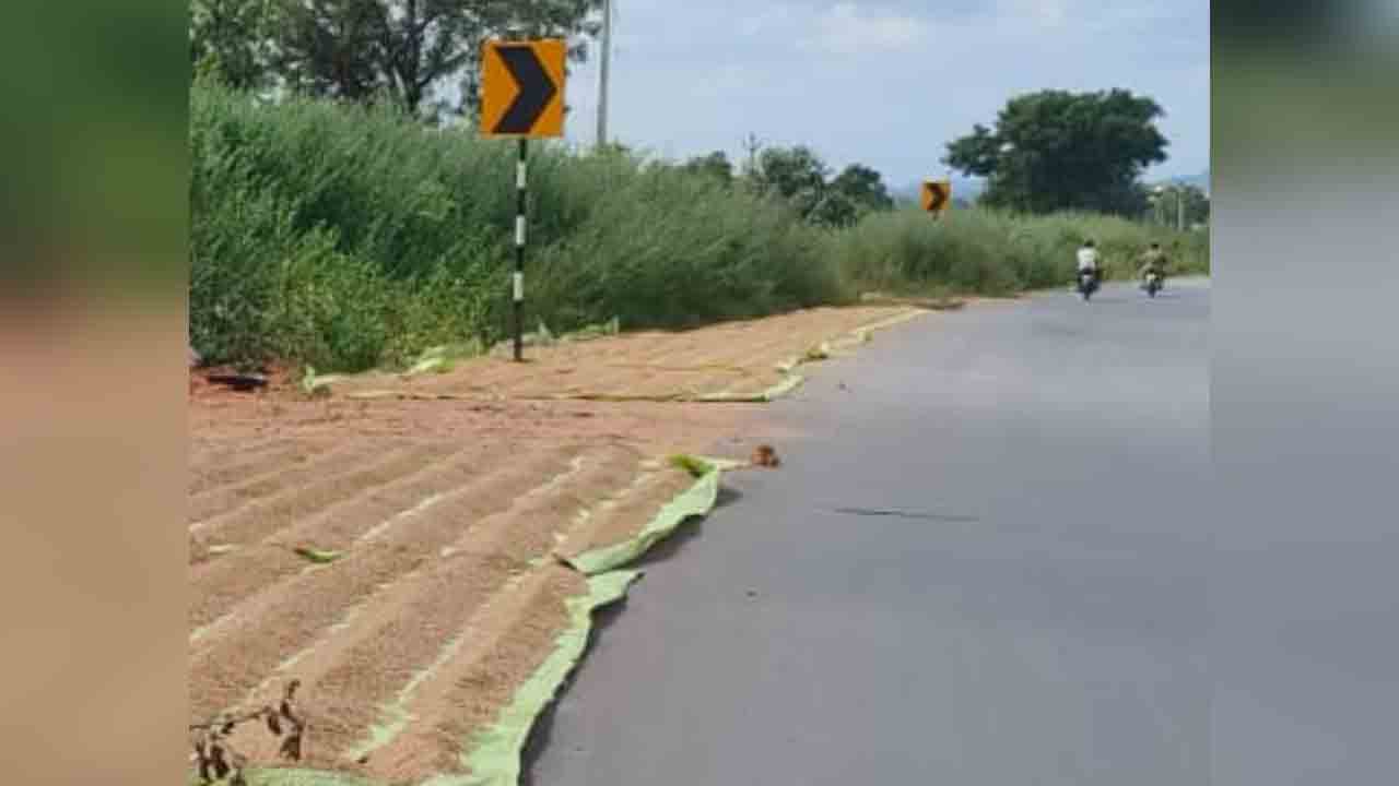 Roads11