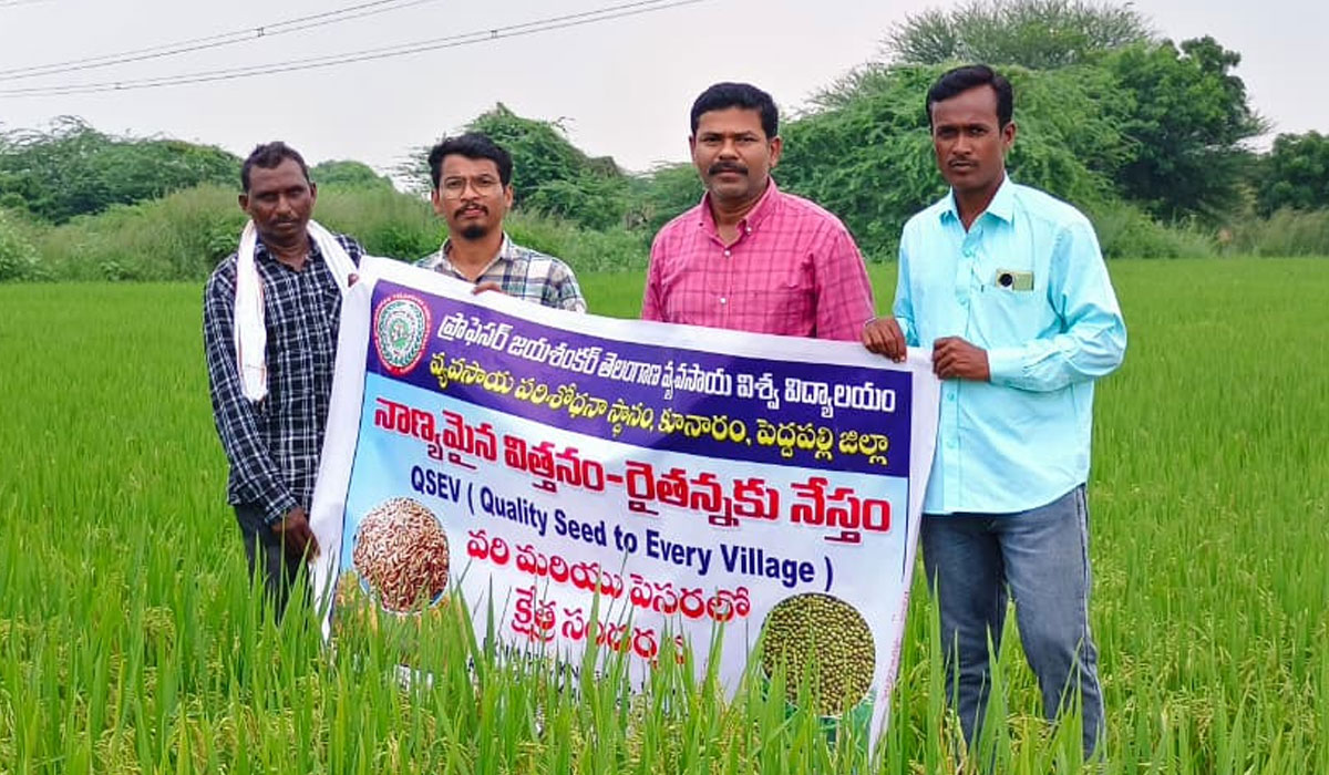Scientist Satish Chandra | వరిపంటలో తెగుళ్ల నివారణకు తగిన చర్యలు తీసుకోవాలి.. శాస్త్రవేత్త సతీష్‌ చంద్ర