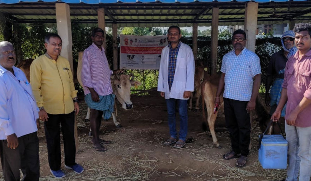 Sarangapoor | పశువులకు తప్పని సరిగా గాలికుంటు నివారణ టీకాలు వేయించాలి..అసిస్టెంట్ డైరెక్టర్ డాక్టర్ నరేష్